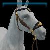 Gilded Glamour hackamore