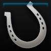 Maarsden's elite horseshoes