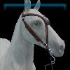 Forester Garb medallion bridle
