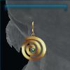 Nova's Golden Earrings