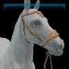 Fair Maiden hackamore
