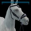 Gleaming Glamour red hackamore