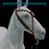 Gleaming Glamour black medallion bridle