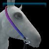 Dark Core drop noseband bridle