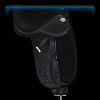 Evil Queen dressage saddle