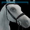Evil Queen English bridle