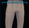 Dead Serious dressage pants