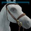 Dead Serious English bridle