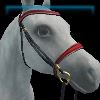 Crimson Majesty English bridle