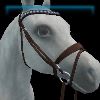 Almond Elegance English bridle