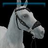 Pearlescent Perfection hackamore