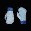 Blizzard Bound light gloves