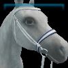 Blizzard Bound English bridle
