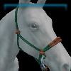 Whitetail Wanderer rope halter