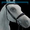 Dark Pine English bridle