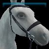 Holiday Party English bridle