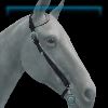Midwinter Western bridle