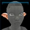 ElfEars_Decoration_01_Name