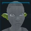 ElfEars_Decoration_13_Name
