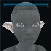 ElfEars_Decoration_14_Name