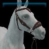 Scandinavian Sensibilities Bridle