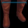 Gaucho boots