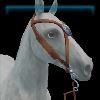 Gaucho medallion bridle