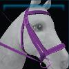 Fort Pinta bridle