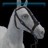 GH_BridleMedieval_Horns_26_Name