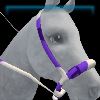 GH_BridleWestern_Bosal_48_Name