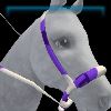 GH_BridleWestern_Bosal_49_Name