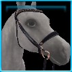 Be-dazzling English bridle