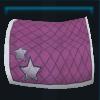 Star Stable blanket