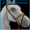 Jorvik Stables Championship elite bridle