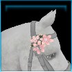 Blushing Blossom mane flowers