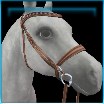 Blushing Blossom English bridle