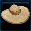 Sunny hat
