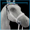 Proud English bridle