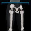 Skeleton pants