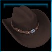 Line dancer's hat