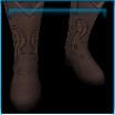 Line dancer's boots