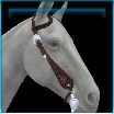 Line dancer's Western bridle