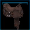 Line dancer's Western saddle