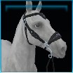 Nocturnal hackamore