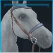 Ocean lily English bridle