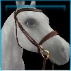 Summer Solstice English bridle