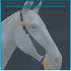 Whimsical Sunflower Western bridle