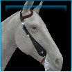 Rodeo ready Western bridle