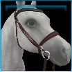 Heritage English bridle
