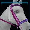 Vineyard bridle
